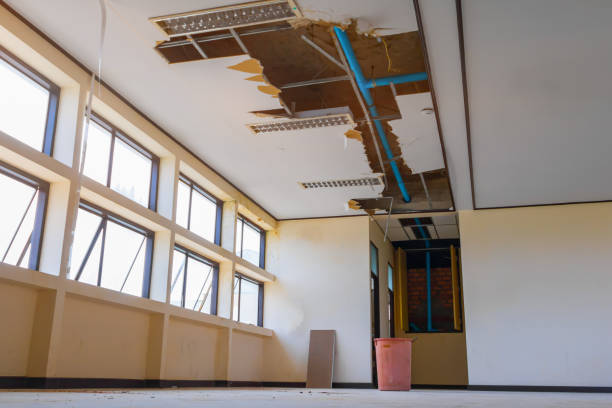 Best Sewage cleanup and water damage restoration  in Lady Lake, FL