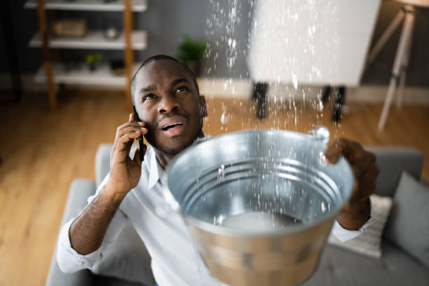 Best Water damage restoration company  in Lady Lake, FL