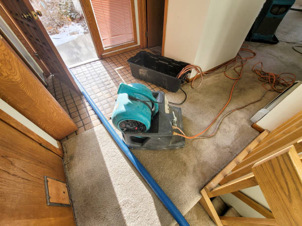 Best Water damage restoration near me  in Lady Lake, FL