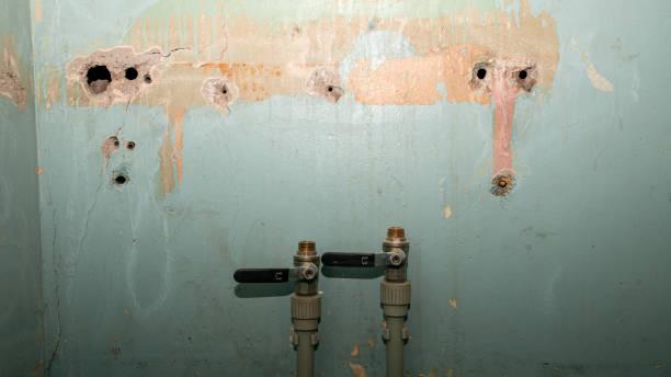 Best Water damage cleanup near me  in Lady Lake, FL