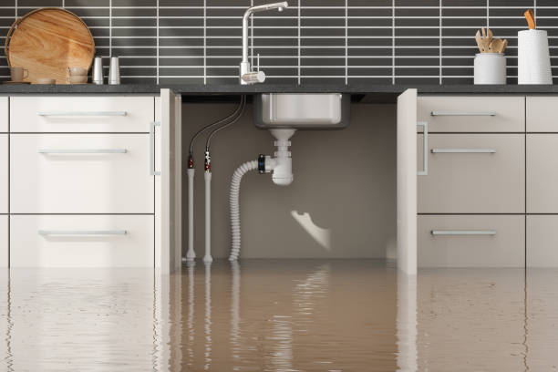 Water damage restoration mold remediation in Lady Lake, FL